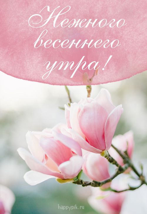 🌸✨☕ Красивые картинки 