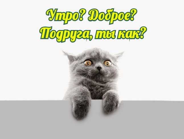 Утром подруге