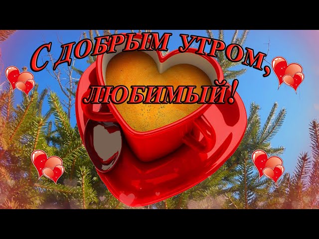 Гифки “Доброе утро любимая“ 40 шт