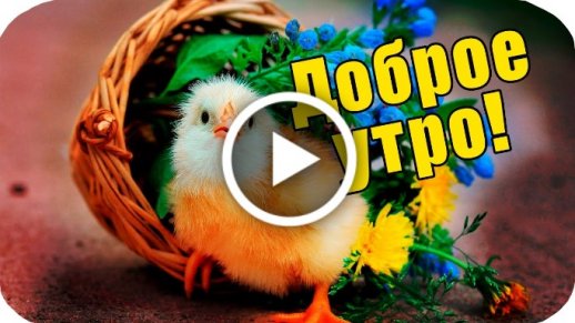 Доброго Зимнего Утра Видео Открытка 