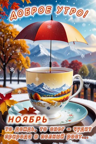 Доброе утро/Good morning