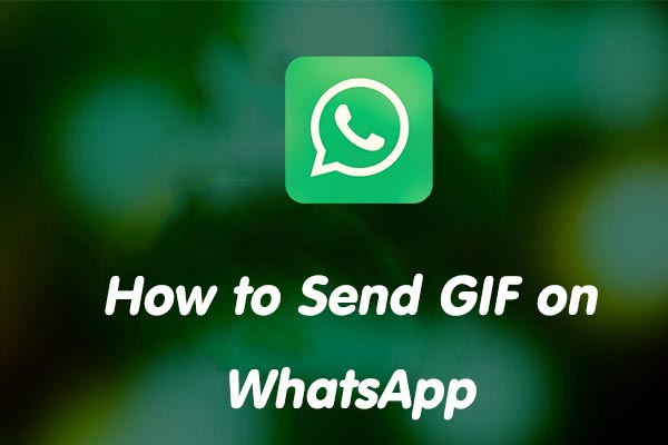 Gif sticker on sale whatsapp