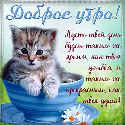 💗 Красивая картинка на вацап whatsApp 