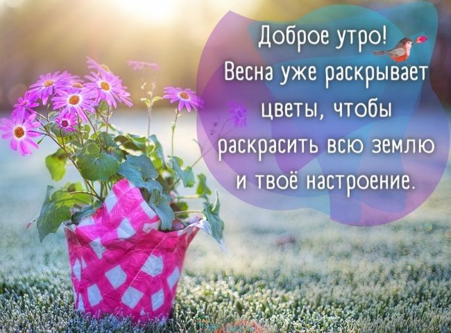 Доброе утро! Весна,поздравляем всех-всех с Первым днем весны 