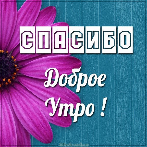 💗☕️Доброе Утро! Хорошего Дня!🌷Для Друзей! Заряд Позитива 