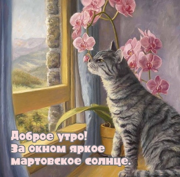 🌸✨🌸 С ДОБРЫМ МАРТОВСКИМ УТРОМ 🌸✨🌸 Это март приходит 