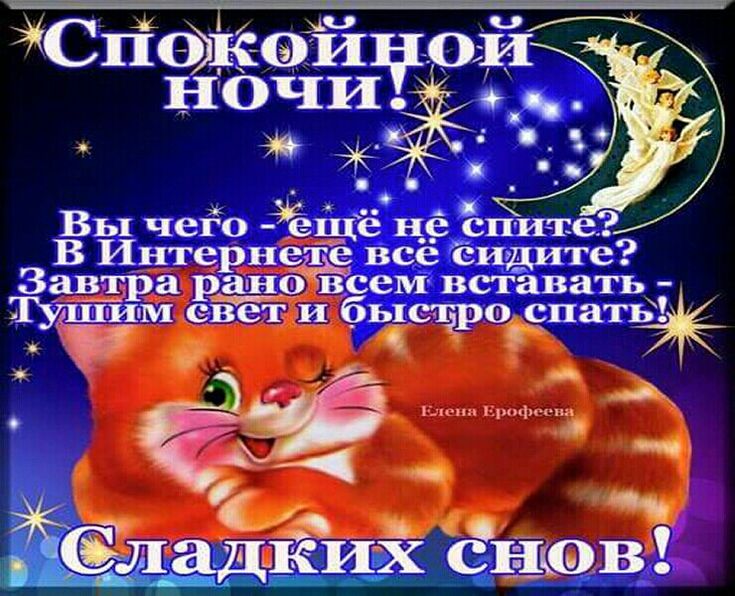 Спокойной ночи, сладких снов