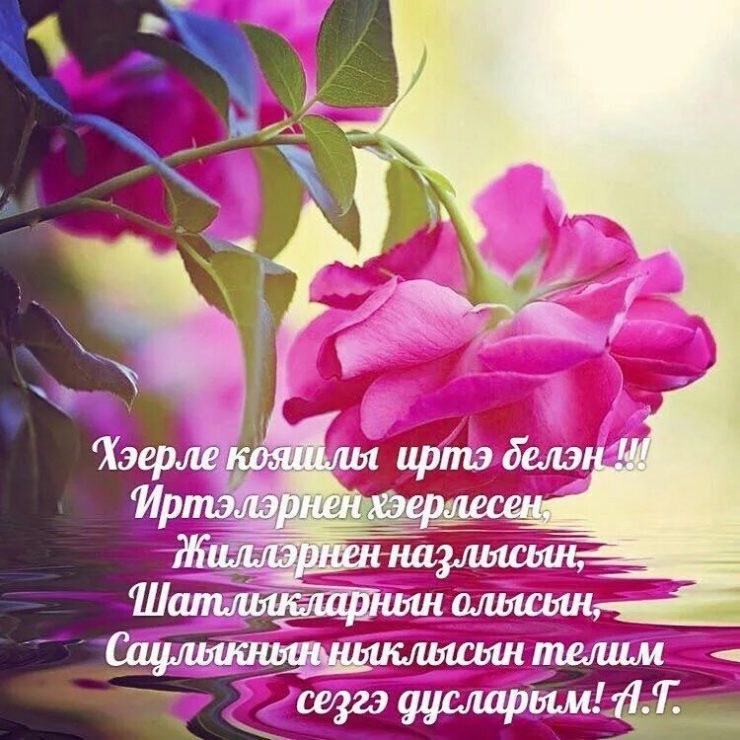 АВТОР 👑ГӨЛНУР ГАЛИМОВА👑 👒💎ХӘЕРЛЕ ИРТӘ ТУГАННАР💎👒 ПРОЕКТ 