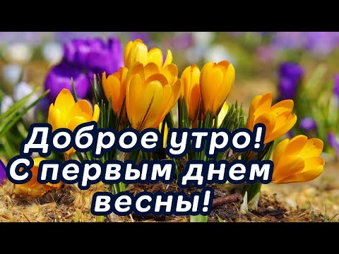 Картинки с добрым утром весна