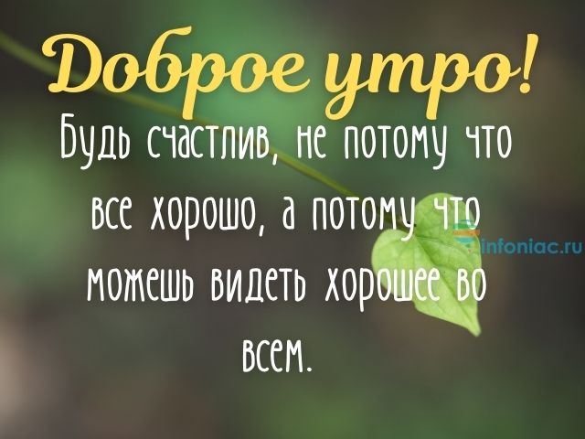 Новые картинки 