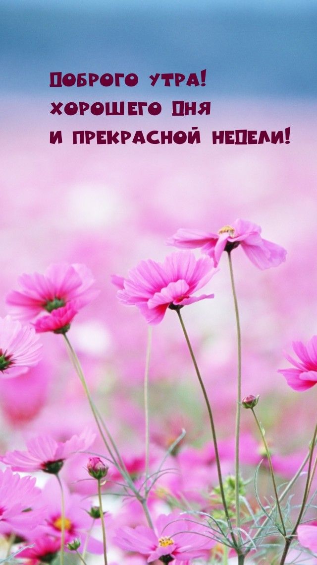 galina_flowers999999999 