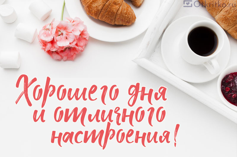 ДОБРОГО ДНЯ, ОТЛИЧНОГО НАСТРОЕНИЯ ВАМ 