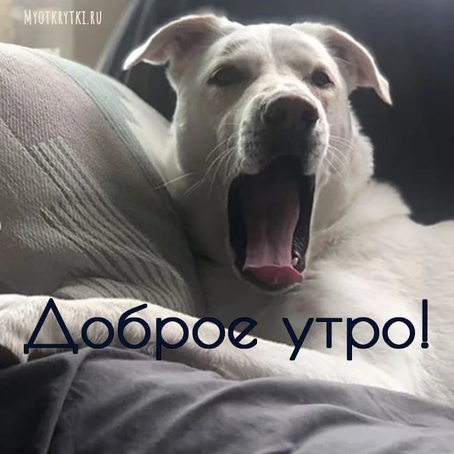 Всем доброе утро