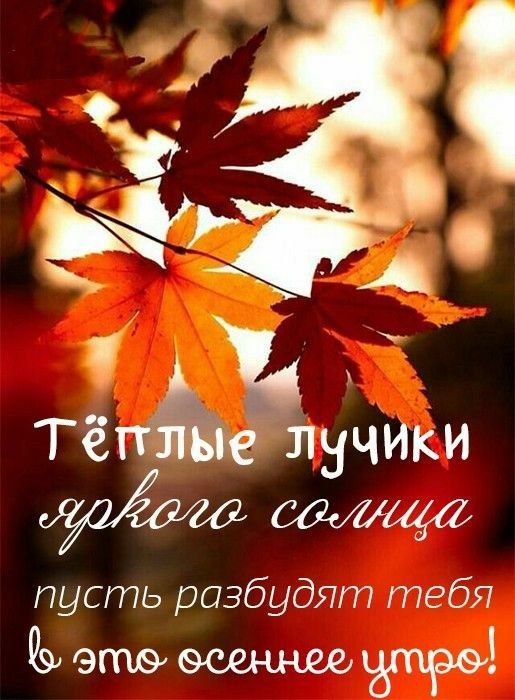 🍁 ⛅ ☕ Картинки С добрым осенним утром