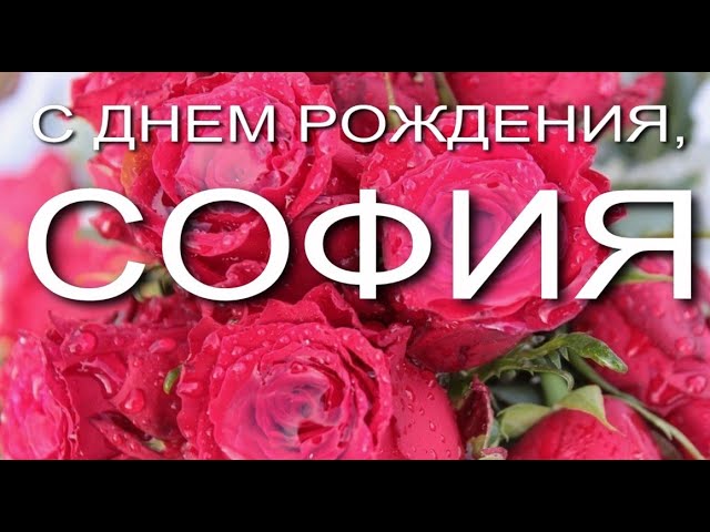 Смешные картинки поздравления С Днем 