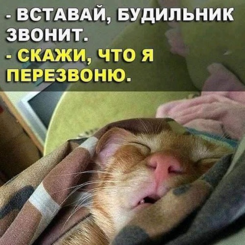 С добрым субботним утром!😊 