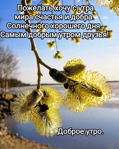 🌤 ДОБРОГО РАНКУ 🌤 ЛУЧШИЕ МУЗЫКАЛЬНЫЕ ПОЖЕЛАНИЯ ДОБРОГО УТРА 