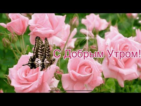 Пожелание Доброе Утро На Чувашском Языке 