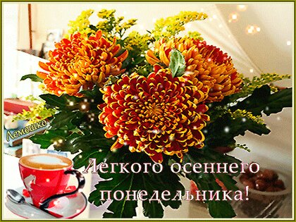 🌺☕️Ух, ты, опять понедельник! Доброе 