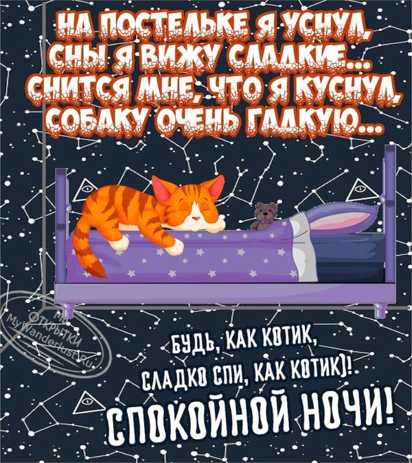 😃 Доброй ночи