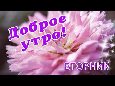 Открытки доброе утро с цветами и кофе