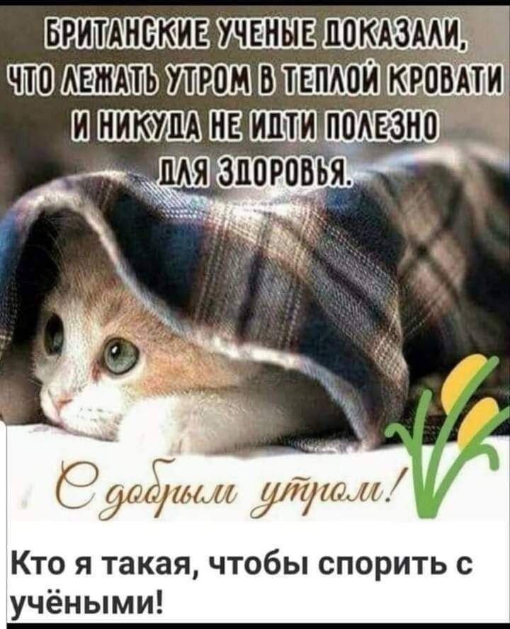 Прикольные фото для позитивного утра 