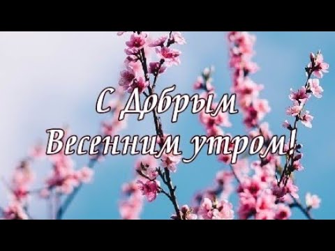 Доброе весеннее утро