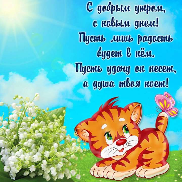 🍁Всем Доброго Утра ✌️ 🌞С добрым утром 