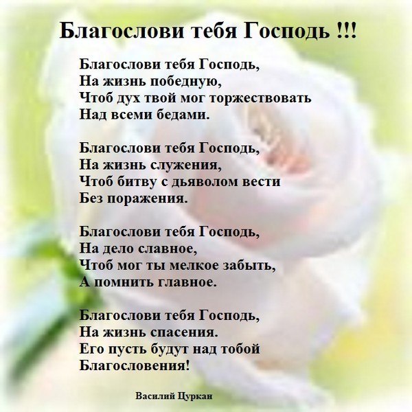 Доброе утро🌺 Благословенного дня🕊️🤍🕊️ 