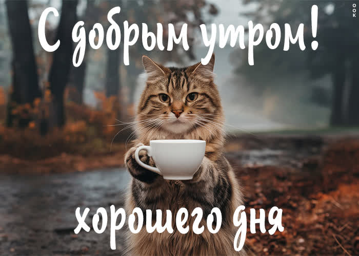 💗☕️Доброе Утро! Хорошего Дня!🌷Для Друзей! Заряд Позитива 