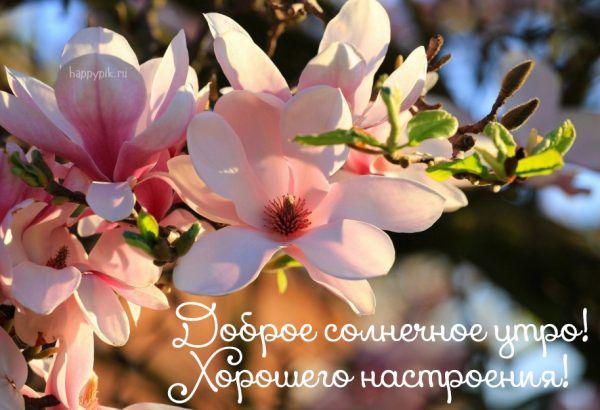 💌☀️😄 Картинки Хорошего дня