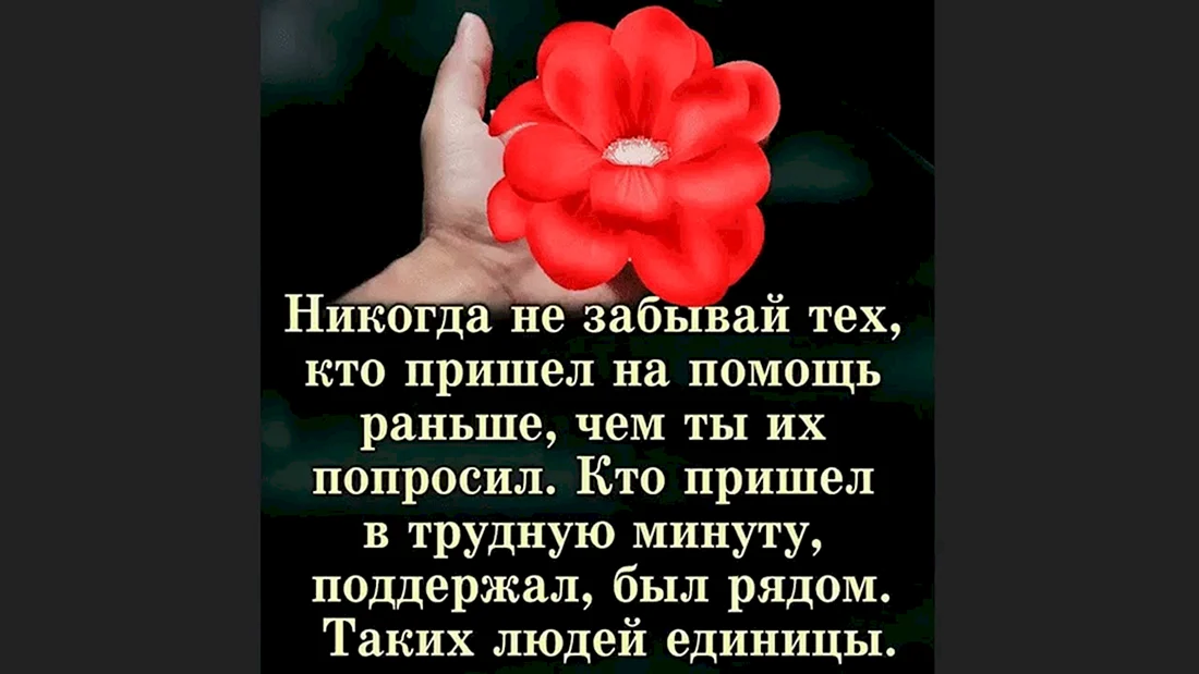 Недельная глава Беhар