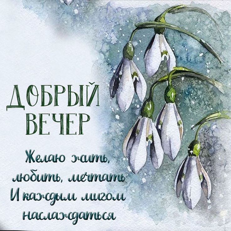 Добрый весенний вечер — картинки 