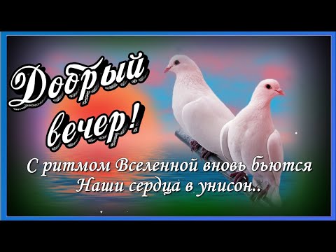 Добрый вечер картинки со стихами 