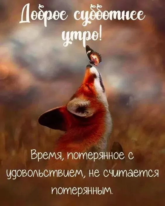 ДОБРОЕ УТРО