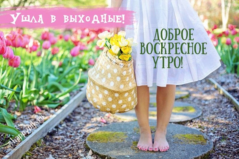 Доброе утро!