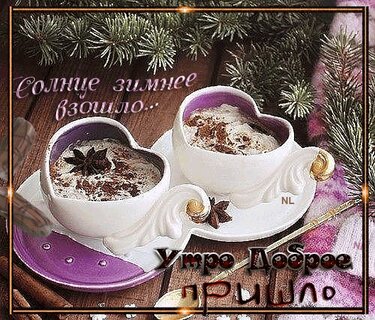 С добрым зимним утром и хорошим днем ❄️ 