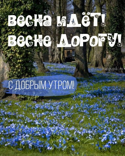 Картинки доброе утро природа весна 