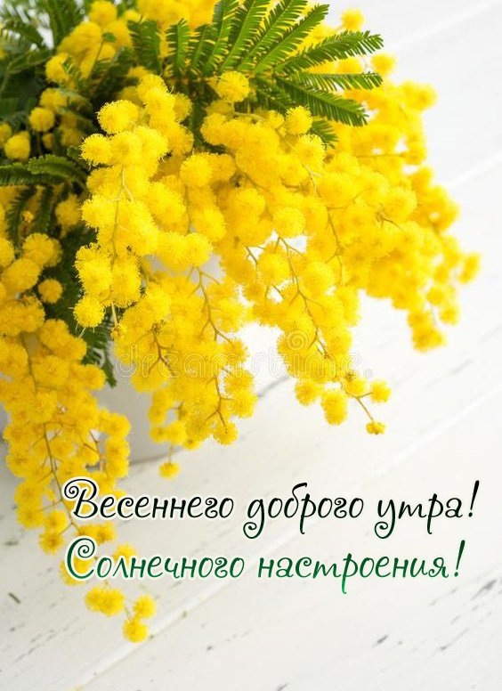 Доброе Утро! Здравствуй, ВЕСНА🌷Классная Песня! Счастливой и 