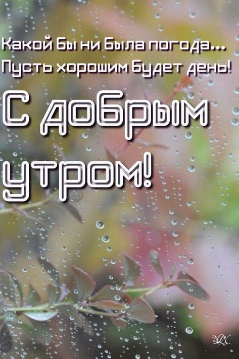 Картина по номерам на холсте на подрамнике 40х60 см 