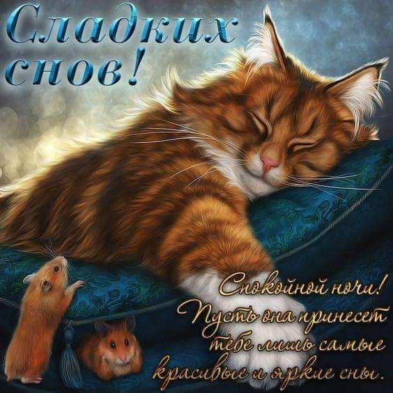 САМОЕ КРАСИВОЕ ПОЖЕЛАНИЕ ДОБРОЙ НОЧИ! СПОКОЙНОЙ НОЧИ И САМЫХ 