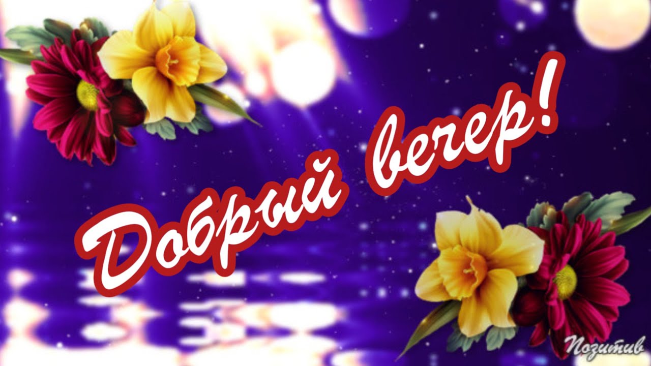 Пожелания Женщине доброго вечера🌙