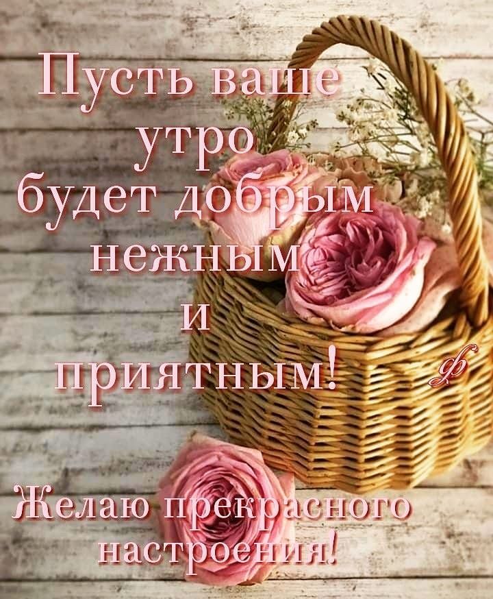 Все доброе утро, мои самые лучшие друзья!