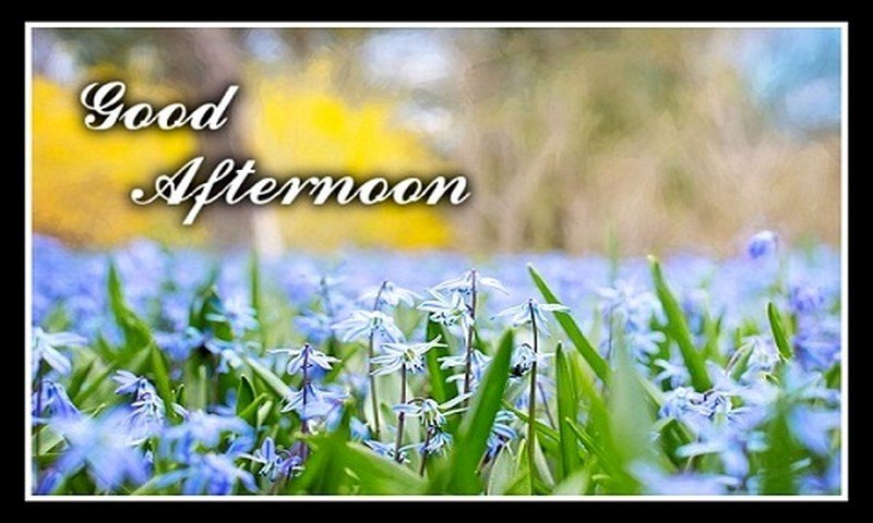 Good Afternoon Wishes Personalized With Name