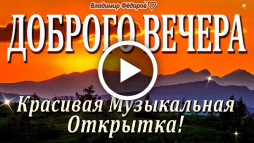 вечер #юмор#позитив #собакен 