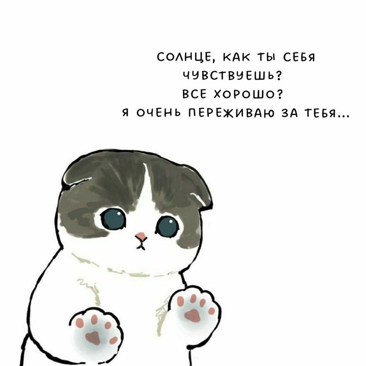 Создать мем «смешной котенок, милые 