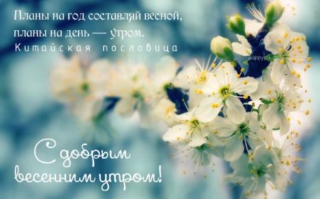 Доброе Утро Природа Весна 