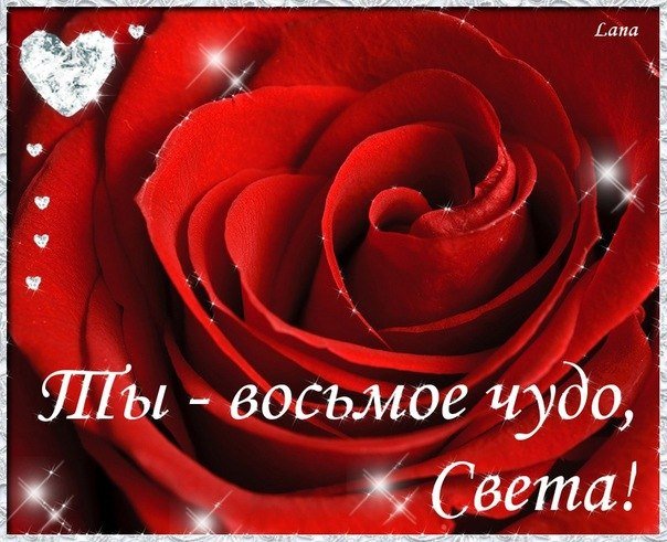 Светлана Цветы 