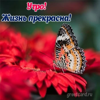 Картинки 