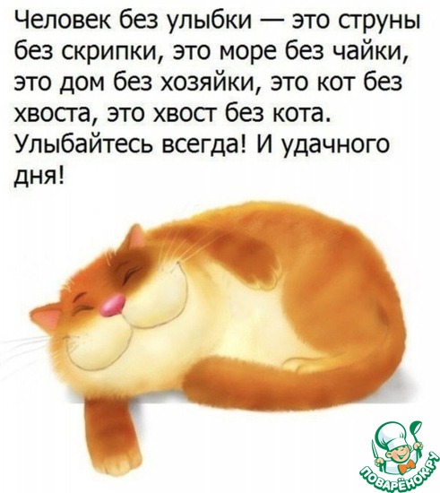 🐱 МИЛЫЕ КОТИКИ ХОТЯТ ПОЖЕЛАТЬ ВАМ 